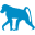 Baboons